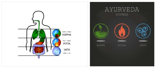 types of primary prakrati