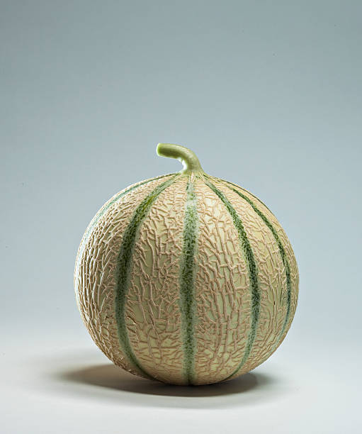 Charentais Melon