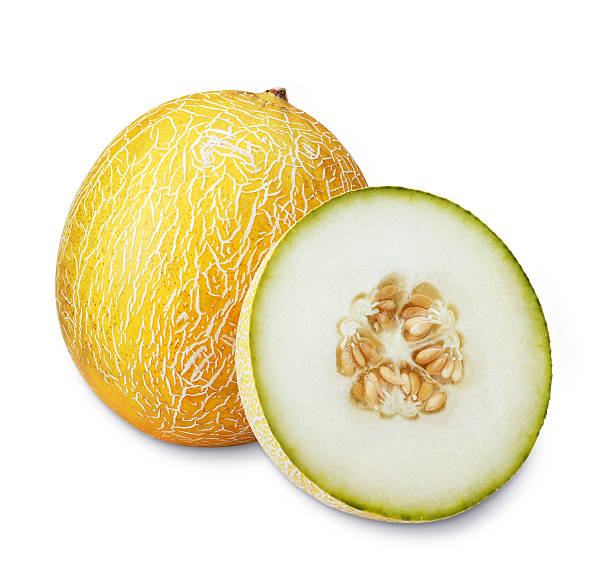 Galia Melon