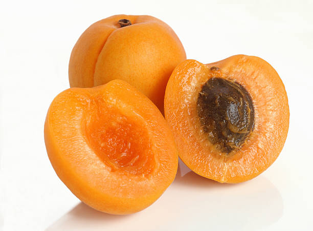 Stone Fruit - Two apricots, one cut in half to reveal stone