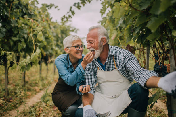 eating grapes might reduces aging effects