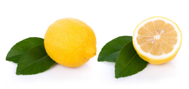 Primofiori Lemon