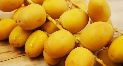Bahri Dates Fruit