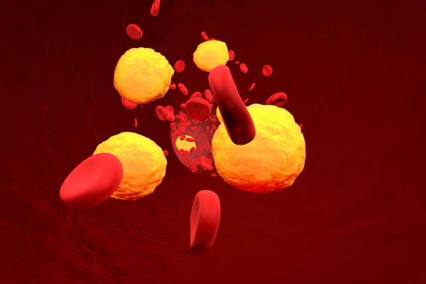 cholesterol in blood stream