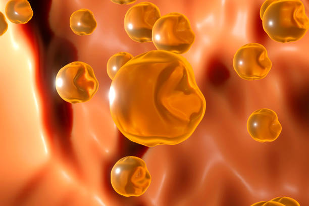 cholesterol molecules